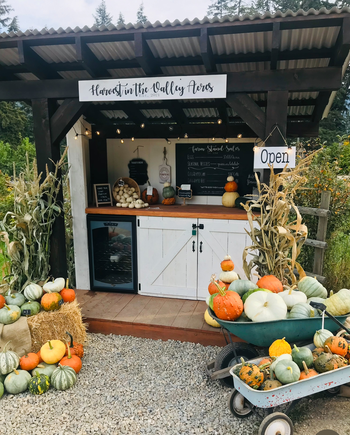 Harvest in The Valley Acres